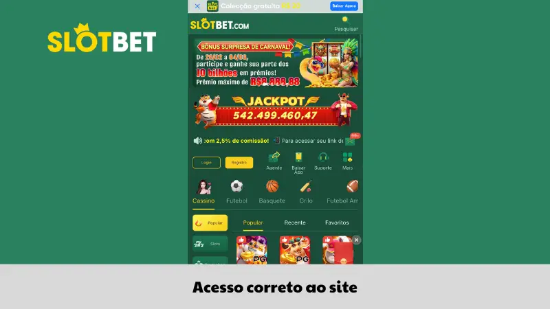 Acesso correto ao site
